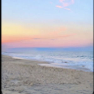 Meet your Posher, Rickie